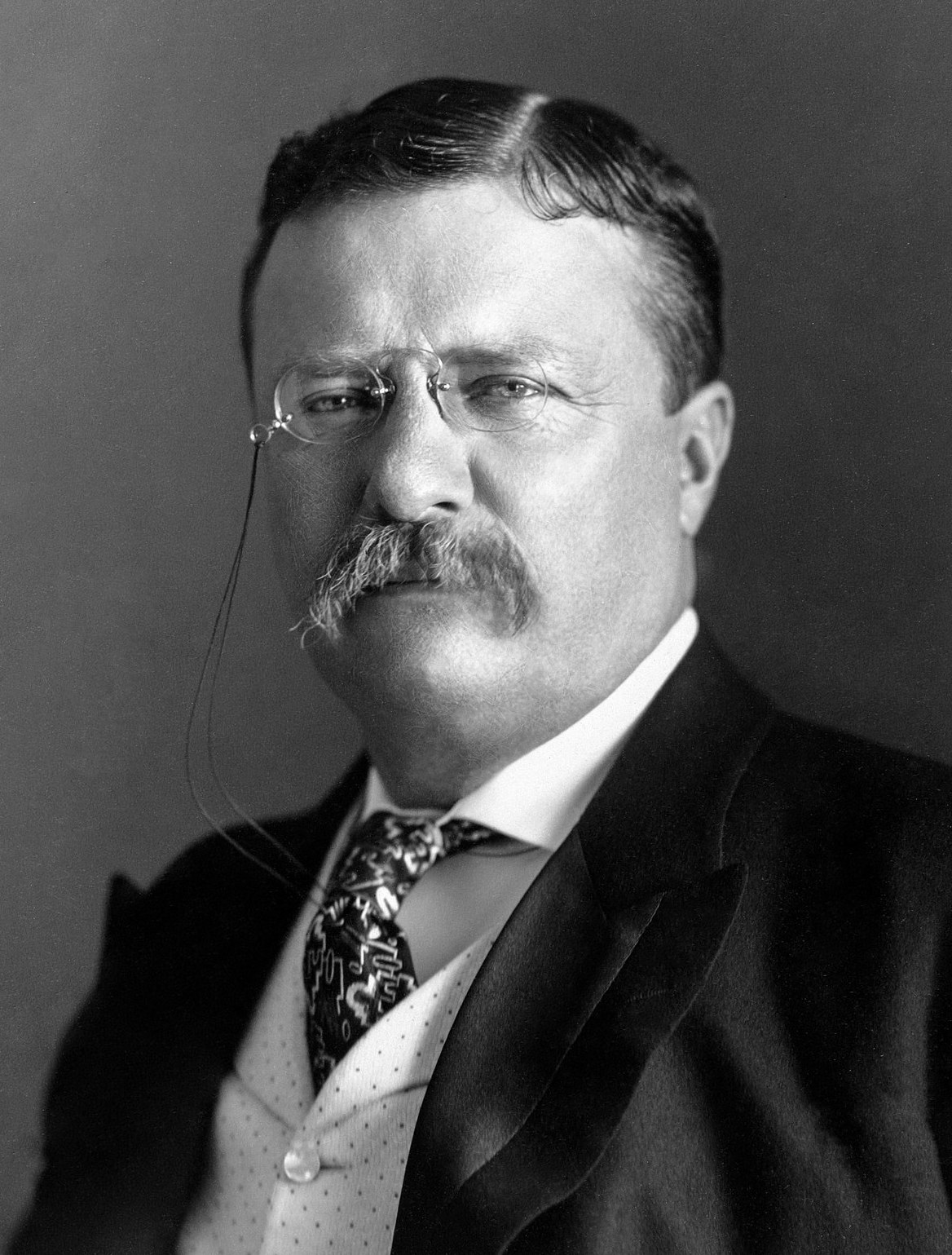 Theodore Roosevelt Photo